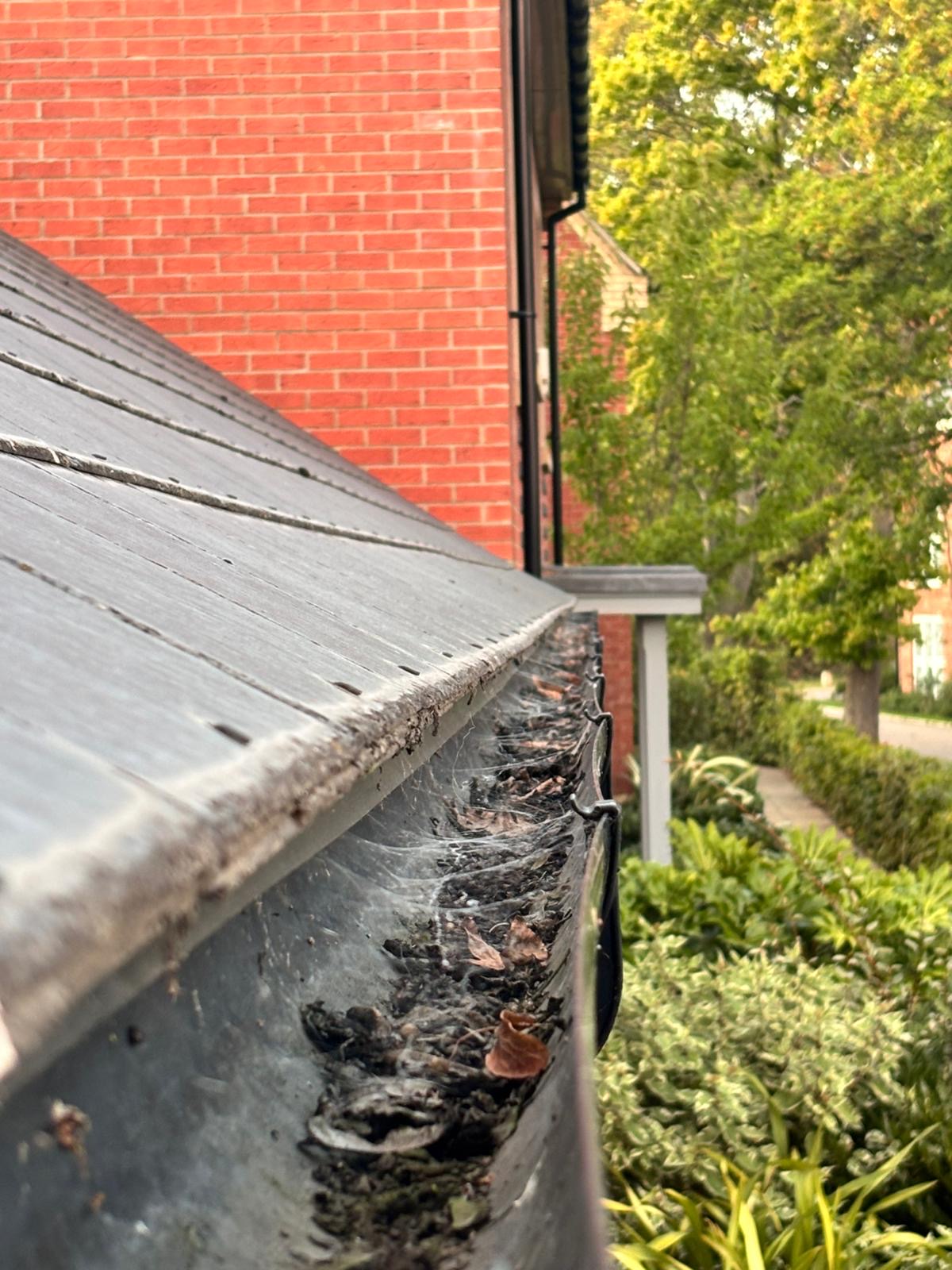 Fascia and Soffit Cleaning