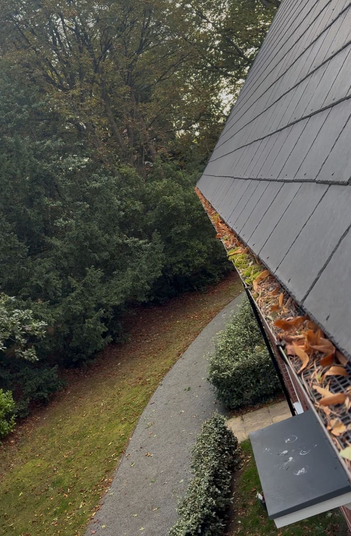 Driveway and Patio Cleaning