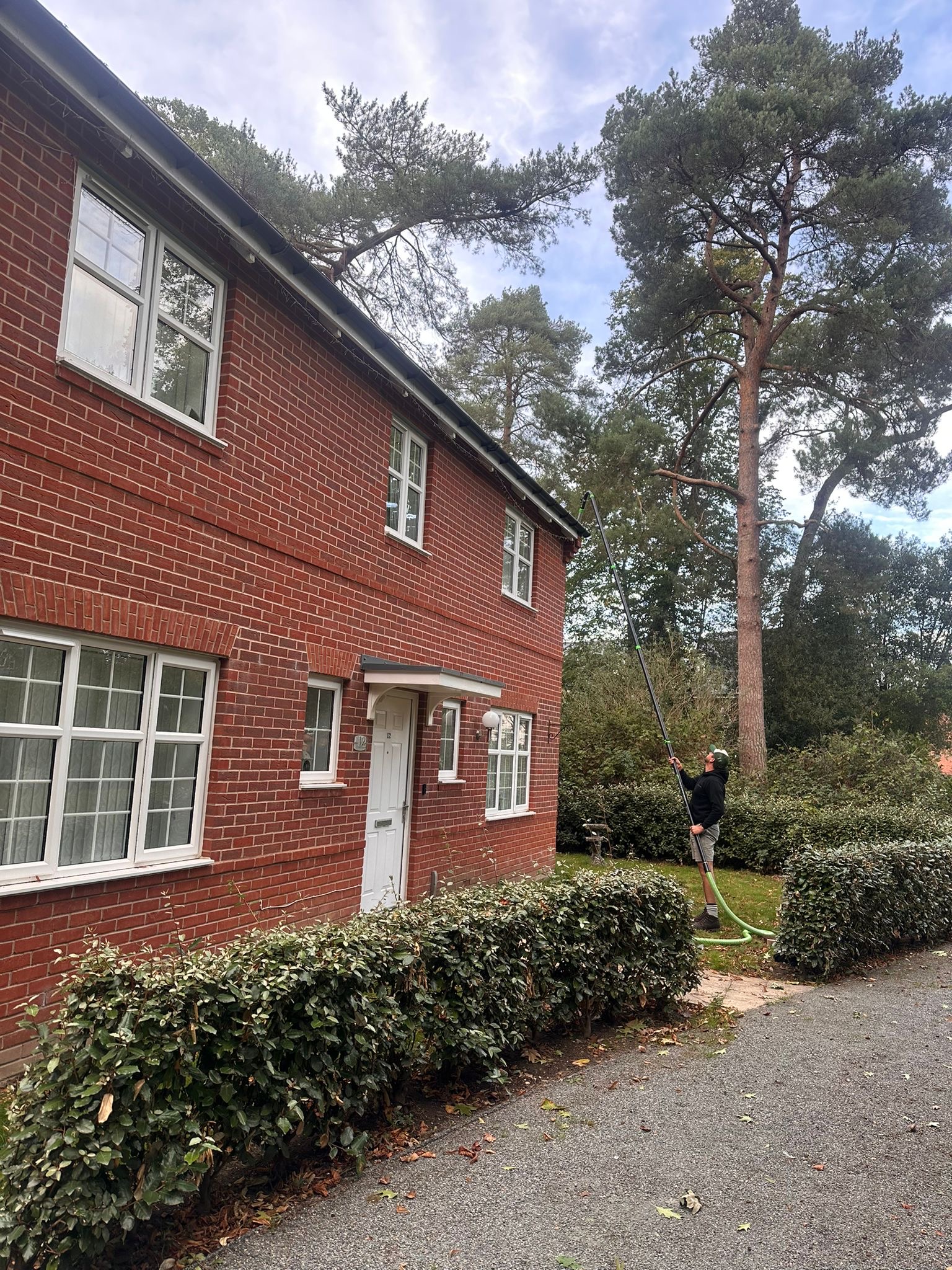 Professional Gutter and Roof Services